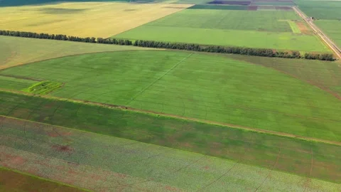 Aerial view of an irrigation machine in a green field Stock Footage 300844544