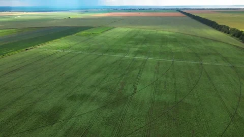 Aerial view of an irrigation machine in a green field Stock Footage 300844572