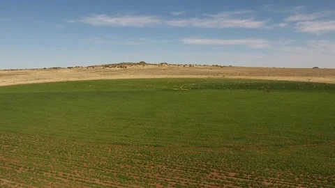 Aerial View of Irrigation Pivot Circle with Green Animal Feed Crops Stock Footage 243570916