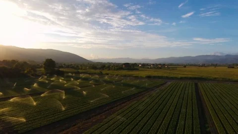 Aerial view of irrigation system on a farm Stockbeeldmateriaal 76184572