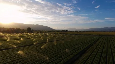 Aerial view of irrigation system on a farm Stock Footage