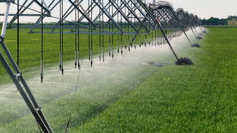 Aerial View Irrigation System Watering Wheat Field Video stock 334687051