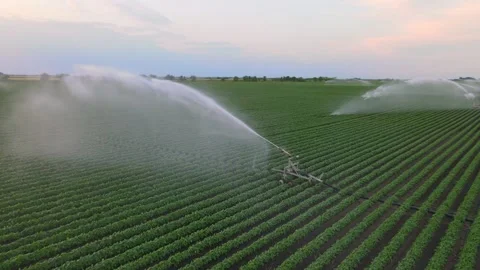 Aerial View Irrigation System Watering Soybean Field Stock Footage 342813407