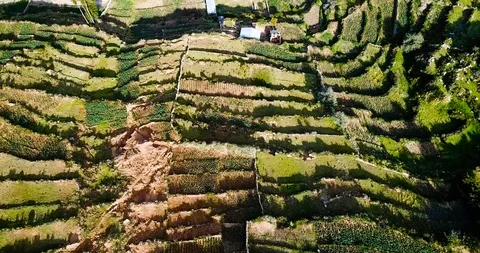 Aerial view of Isla del Sol landscape on the Lake Titicaca in Bolivia 스톡 동영상 89115962