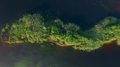 Aerial view of island on the river Video stock 97846231
