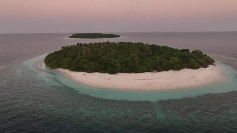 Aerial view of island with trees and sand, Maldives. Stock Footage 312280132