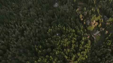 Aerial View of Isolated Homes on Forest Mountainside Stock Footage 10688528