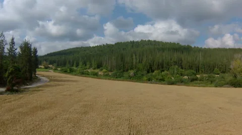 Aerial view of  Jerusalem mountains, wheat field and forests, Israel Stock Footage 45150377