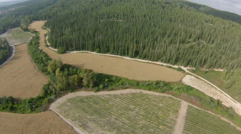 Aerial view of  Jerusalem mountains, wheat field and forests, Israel Stock Footage 45151153