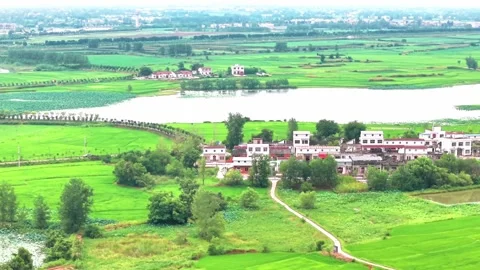 Aerial view of Jianghan Plain rural landscape Stock Footage 341574429