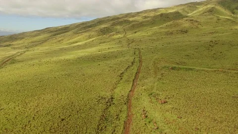 Aerial View Jib Down Dusty Hiking Trail in A Grassy Valley. Stock-Footage 72653410