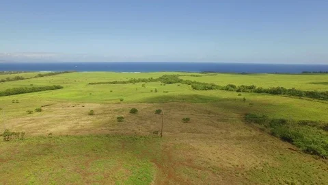 Aerial View Jib Down Ocean and Field. Stock Footage 74233156