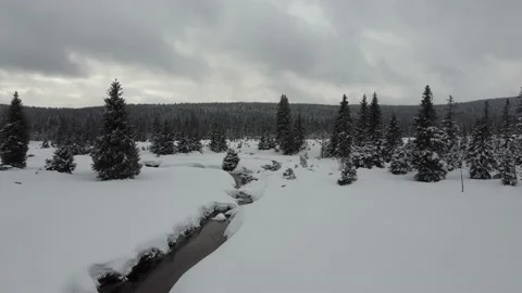 Aerial view of the Jizera Stream, flowing through the Jizera Mountains in Winter Stock Footage 148078623