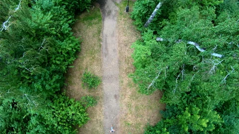 Aerial view of jogging in the park. Vertical, top-down Stock Footage 101409955