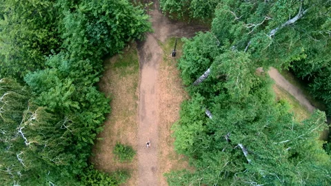 Aerial view of jogging in the park. Vertical, top-down Stock Footage 101412924