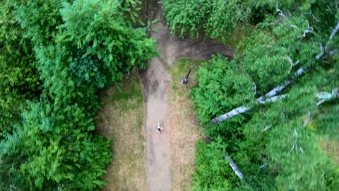 Aerial view of jogging in the park. Vertical, top-down Stock Footage 101449464