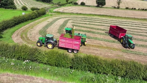 Aerial View of a John Deere 6950 self-propelled harvester lifting silage gra Video stock 284721796