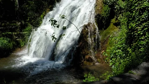 Aerial view jump waterfall river poplars spring Stock Footage 130798253