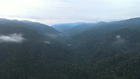 Aerial view of jungle, river and hills in Raub, Pahang Stock Footage 194707643