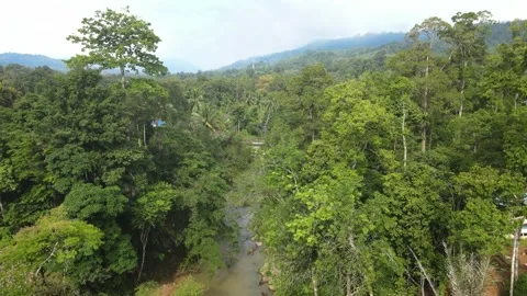 Aerial view of jungle, river and hills in Raub, Pahang Stock Footage 194746732