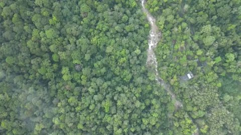 Aerial view of jungle, river and hills in Raub, Pahang Stock Footage 194746745