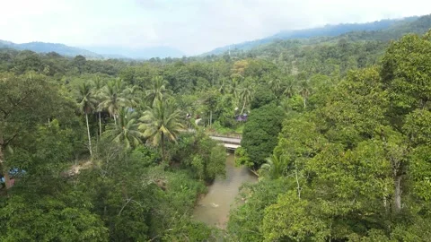 Aerial view of jungle, river and hills in Raub, Pahang Stock Footage 194746754