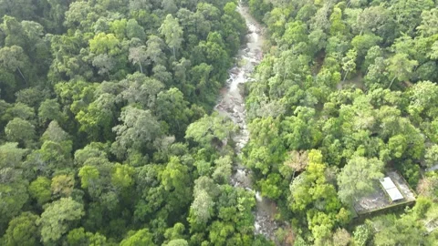 Aerial view of jungle, river and hills in Raub, Pahang Stock Footage 194746776
