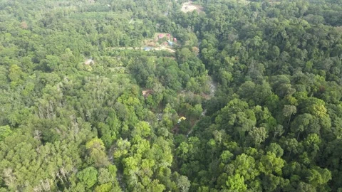 Aerial view of jungle, river and hills in Raub, Pahang Stock Footage 194746786