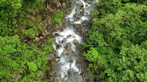 Aerial view of jungle river in Boquete Panama Stock Footage