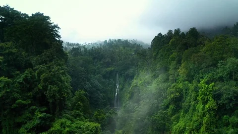 Aerial view of jungle waterfall in Bali. Drone fly over the rain forest Stock Footage