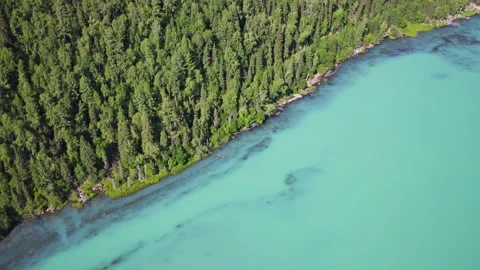Aerial View of Kanas Pine Forest and Milky Blue Glacier Stream in Xinjiang 動画素材 344234091