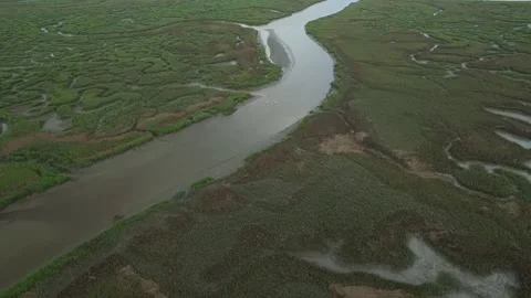 Aerial view of Kayakers exploring tidal creek Stock Footage 220797535