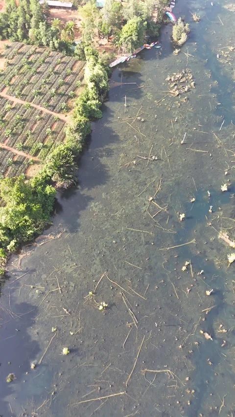 Aerial View of Kayaking in Clear Lagoon at Klong Root Krabi Stock Footage 335797016