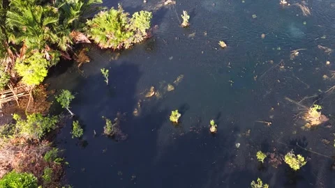 Aerial View of Kayaking in Klong Root Clear Water Canal Thailand Stock Footage 328337392