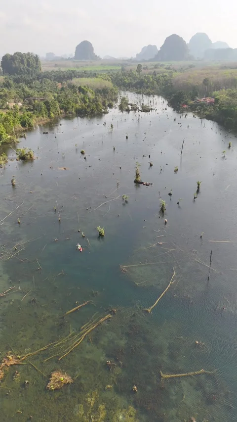 Aerial View of Kayaking Through Klong Root Lagoon in Krabi Thailand Stock Footage 335734059