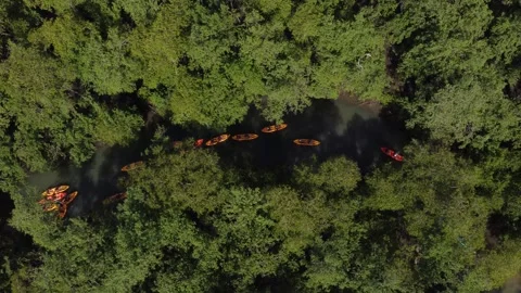Aerial View of Kayaking Through the Mangroves, Paraty, Brazil Stock Footage 337598421