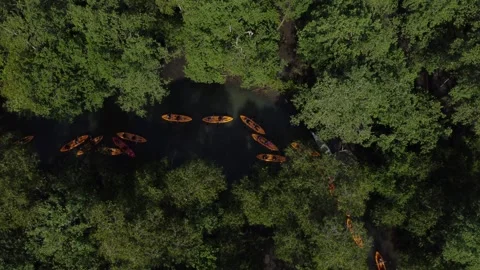 Aerial View of Kayaking Through the Mangroves, Paraty, Brazi Stock Footage 337598429