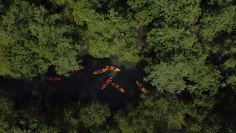 Aerial View of Kayaking Through the Mangroves, Paraty, Brazi Stock Footage 337598515