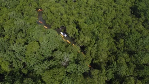 Aerial View of Kayaking Through the Mangroves, Paraty, Brazi Stock Footage 337598532