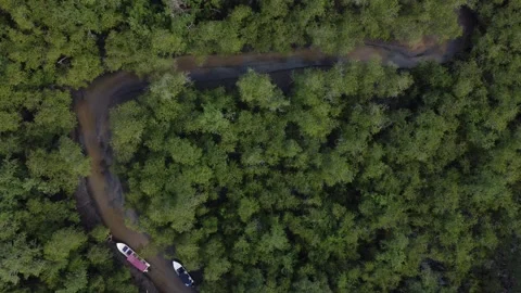 Aerial View of Kayaking Through the Mangroves, Paraty, Brazi Stock Footage 337598661