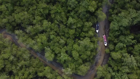 Aerial View of Kayaking Through the Mangroves, Paraty, Brazi Stock Footage 337598700