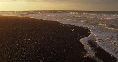 Aerial view of klitmoeller in the sunset Stock Footage 59100753