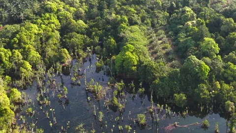 Aerial View of Klong Root Clear Water Canal in Krabi Thailand Stock Footage 328272630