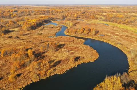 Aerial view of Klyazma river in golden autumn. Vladimir, Russia Stock Photos