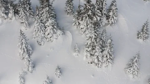 Aerial View Of Kopaonik Stock Footage 93848700