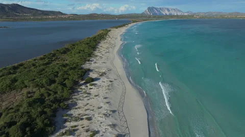 Aerial view of La Cinta beach in Sardinia, Italy, showing turquoise water Stock Footage 313241553