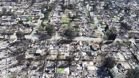Aerial view of LA fires with burnt homes in Los Angeles, California Stock Footage 306783792
