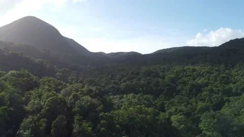 Aerial View | La Soufrière, Active Volcano on Basse-Terre Island, Guadeloupe Stock Footage 142243150
