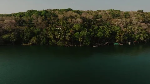 Aerial View of Lago Petén Itzá Jungle and Palm Trees, Flores Island, Guatemala Stock Footage 340036402
