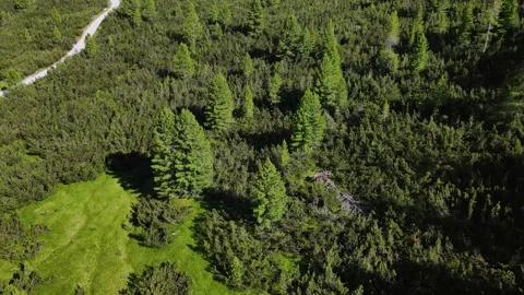 Aerial view of lago son forca in the forest in Dolomiti mountains Stock Footage 193706503